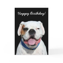 Happy Birthday White Boxer greeting card