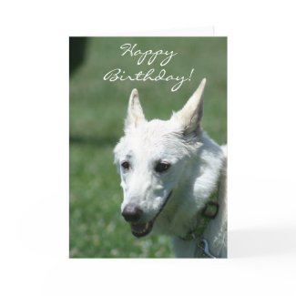 Happy Birthday White German Shepherd greeting card card
