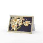 Happy Birthday White Orchids Cards