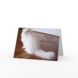 Happy Birthday White Persian cat greeting card