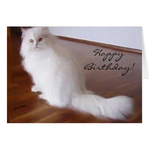 Happy Birthday White Persian cat greeting card Zazzle