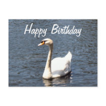 Happy Birthday white swan postcards by DonnaGrayson_Photos Happy Birthday white swan postcards