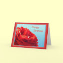 Happy birthday with roses cards by Rainmountain Happy birthday with roses cards