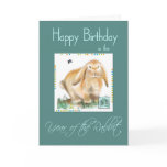 Happy Birthday-Year of Rabbit/Hare cards
