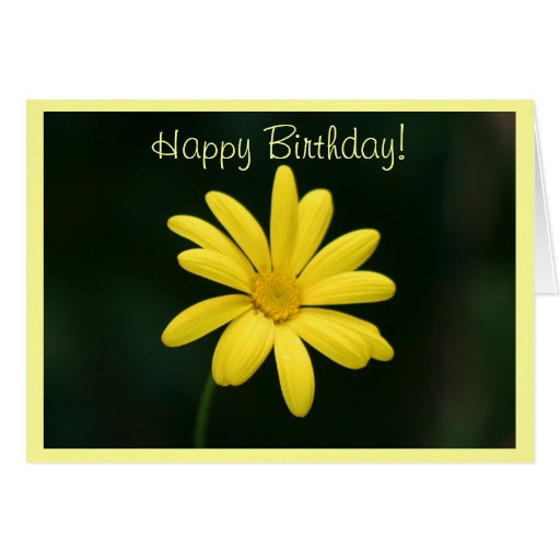 Happy Birthday Yellow Daisy greeting card Zazzle
