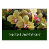 Happy Birthday, yellow orchid flowers Cards