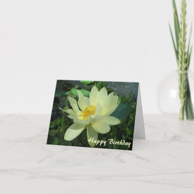 happy_birthday_yellow_water_lily_flower_card-p137686889789928065z85w9_400.jpg