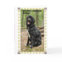 Happy Bithday to you cards by rkaygroup Happy Bithday to you cards