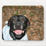 Happy black lab mix dog with leaves in background mousepads