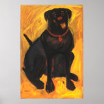 Happy Black Labrador Posters