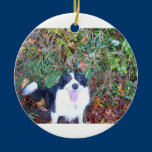 Happy Border Collie ornaments
