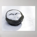 Happy Buddha With Snow Facial