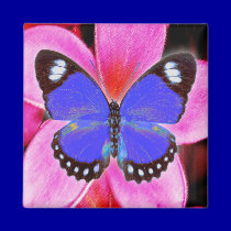 happy butterfly magnets