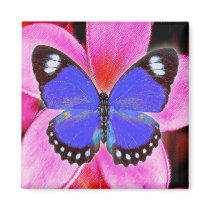 happy butterfly magnets by nefera happy butterfly magnets