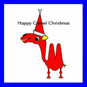Happy Camel Christmas posters