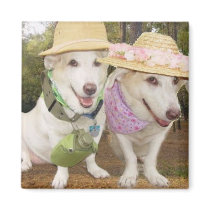 Happy Camper & Southern Belle magnets by myrtieshuman Happy Camper & Southern Belle magnets