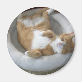 Happy Cat 2 Inch Round Magnet