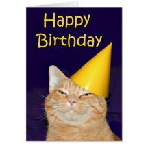 happy_cat_happy_birthday_greeting_card-r0c42af78cc8f46d1a3603885bd6deb84_xvuat_8byvr_216.jpg