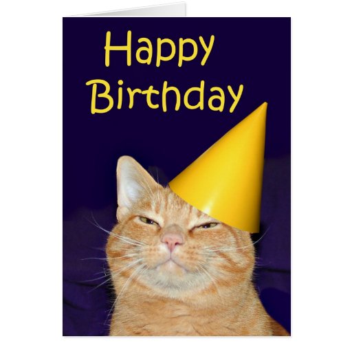 Cute Black Cat Birthday Greetings Card