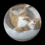 Happy Cat magnets