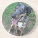 Happy Catahoula Leopard Dog Coasters