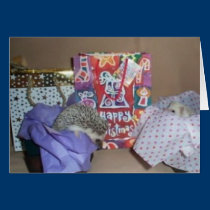 Happy Christmas Hedgehogs cards