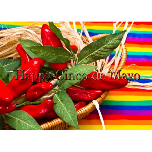 Cinco de Mayo & Mexican Fiesta - Kitchen & Dining Supplies