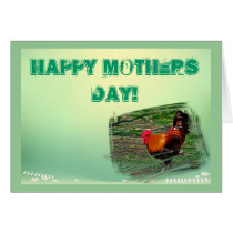 Happy Country Mothers Day