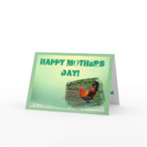 Happy Country Mothers Day