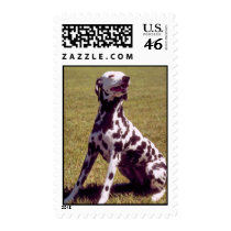 Happy Dalmatian postage by freespiritdesigns Happy Dalmatian postage