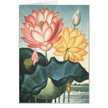 Happy Day Of the Mothers - Flower of lótus cards