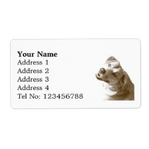 Happy Dog Address labels (L) labels