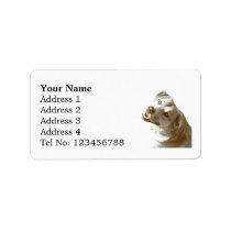 Happy Dog Address labels (M) labels