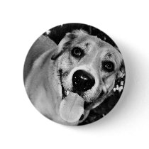 Happy Dog badge buttons