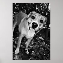 Happy Dog black and white print posters