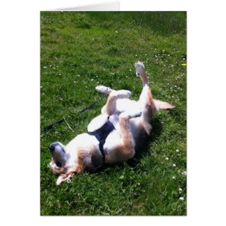 Happy Dog Card