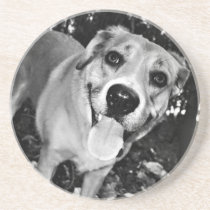 Happy Dog coaster coasters