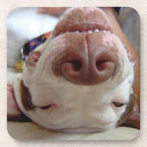 Happy Dog Cork Coasters