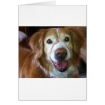 Happy Dog Days Cards