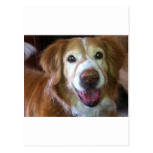 Happy Dog Days Postcards