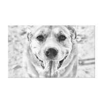 Happy Dog face canvas wrap print canvas prints