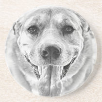 Happy Dog face coaster coasters