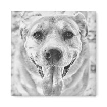 Happy Dog face fridge magnet