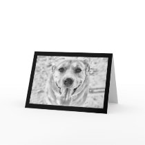 Happy Dog face greetings card cards
