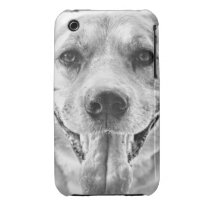 Happy Dog face iPhone 3g 3gs case mate case casemate cases