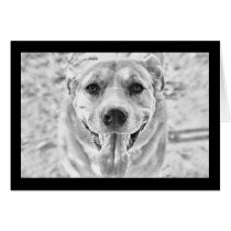 Happy Dog face note card cards