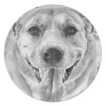 Happy Dog face plate plates
