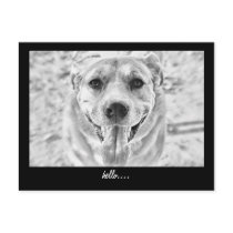 Happy Dog face postcard postcards