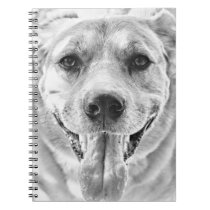 Happy Dog face Spiral Notebook notebooks