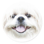 Happy dog face sticker